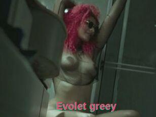 Evolet_greey