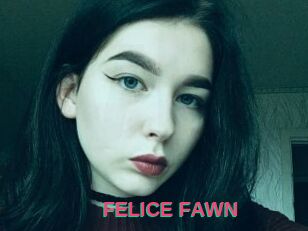 FELICE_FAWN