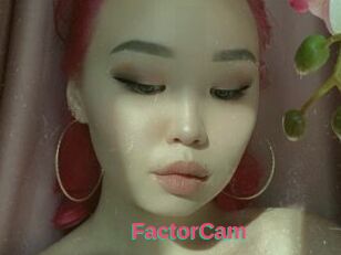 FactorCam