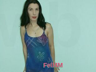 Fell4M