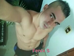 Fenix_S