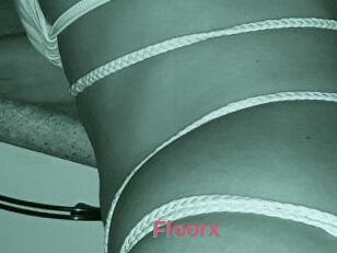 Floorx
