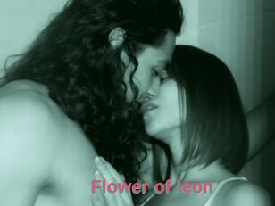 Flower_of_leon