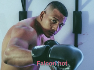 Falcon_hot