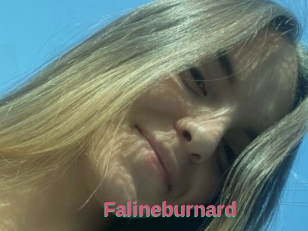 Falineburnard