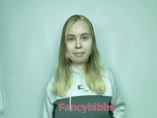 Fancybibbs