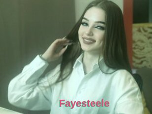 Fayesteele