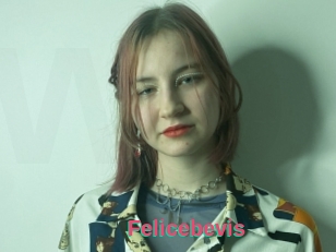 Felicebevis