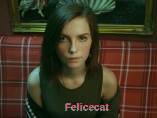 Felicecat