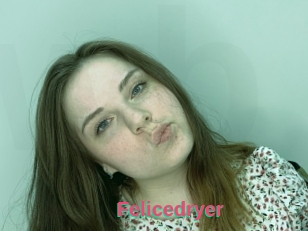 Felicedryer