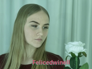 Felicedwinell