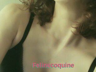 Felinecoquine