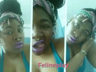 Felineplay