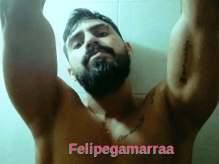 Felipegamarraa