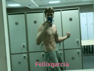 Fellixgarcia