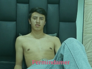 Fermindamer