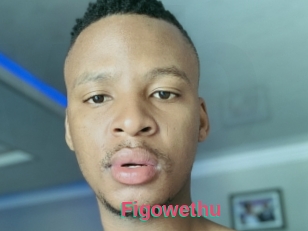 Figowethu
