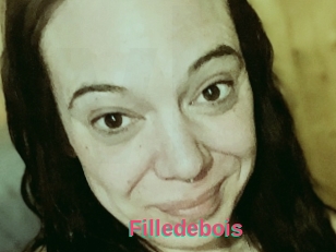 Filledebois