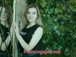 Flamingaphrodi