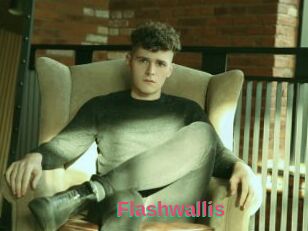 Flashwallis