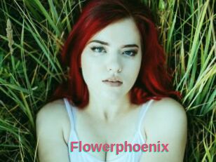 Flowerphoenix