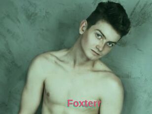 Foxterr