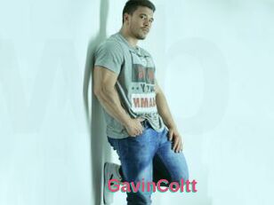 GavinColtt