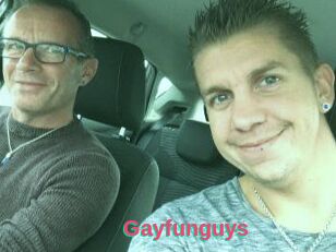 Gayfunguys