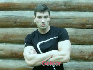 Gektor
