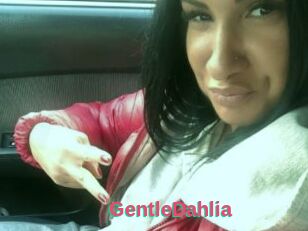 GentleDahlia