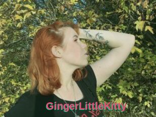 GingerLittleKitty