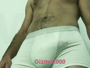 Gizmo2000