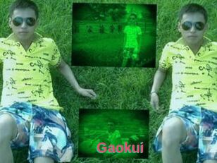 Gaokui