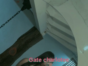 Gate_charlotee