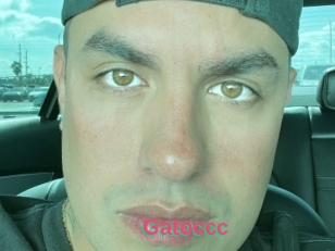 Gatoccc