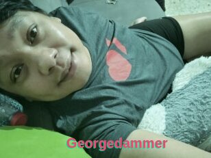 Georgedammer