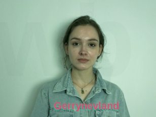 Gerrynevland