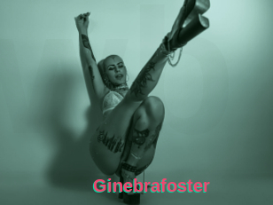 Ginebrafoster