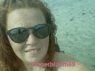 Gingerbloom69