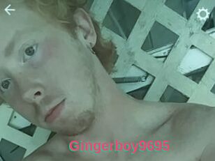 Gingerboy9695