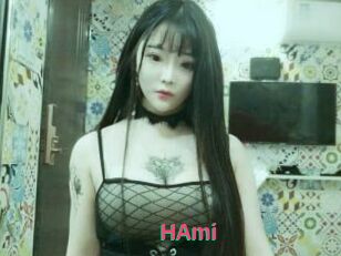 HAmi