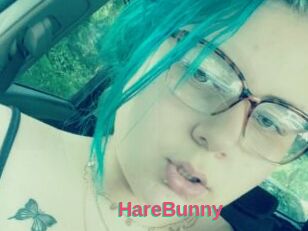 HareBunny