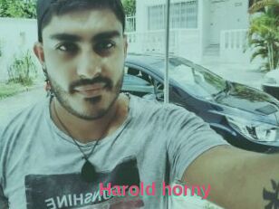 Harold_horny