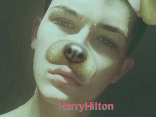 HarryHilton