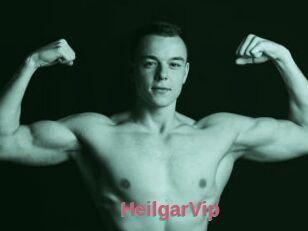 HeilgarVip