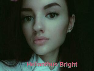 Helianthus_Bright