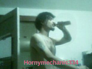 Hornymechanic334