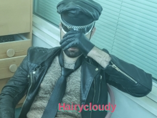 Hairycloudy