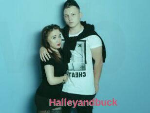 Halleyandbuck