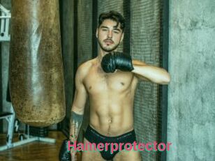 Hamerprotector